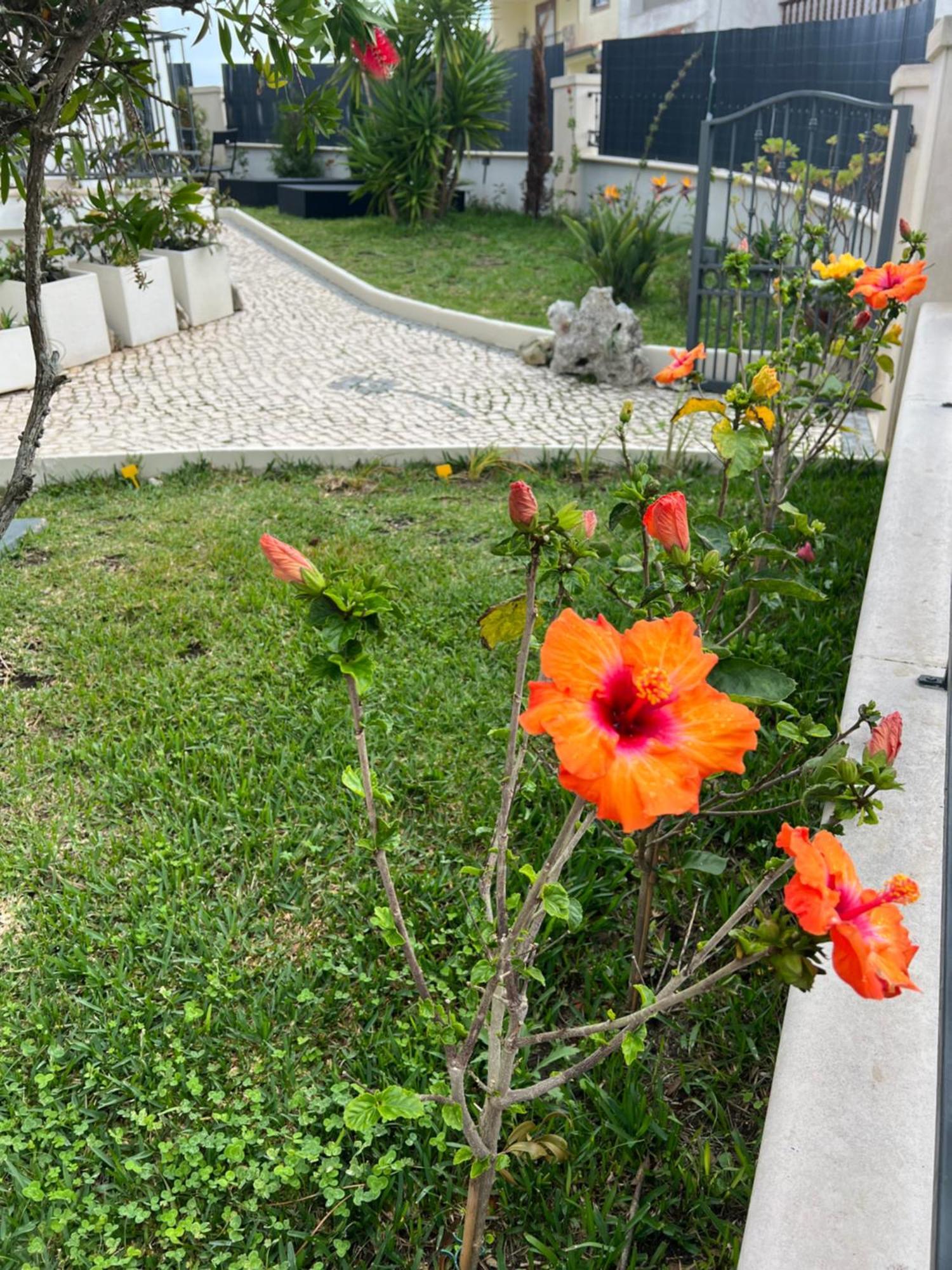 Nazare Oasis Suites Zewnętrze zdjęcie